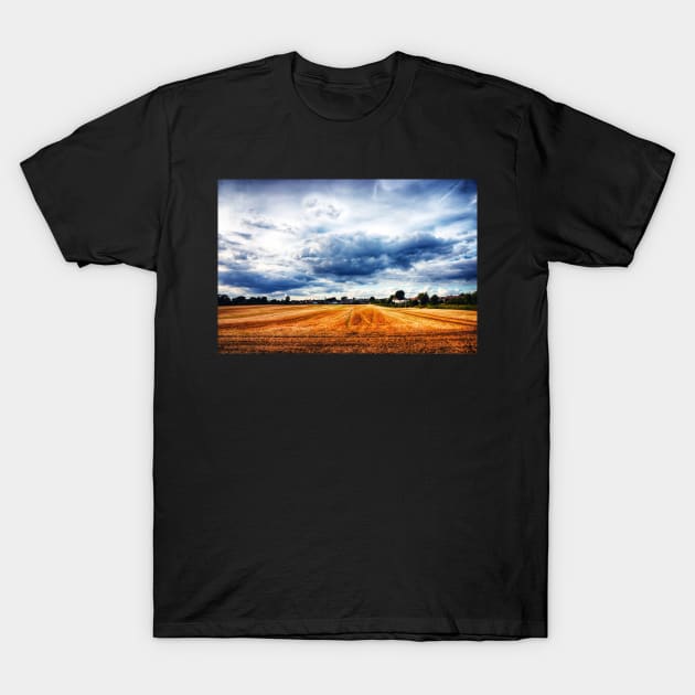 Almost home T-Shirt by InspiraImage
